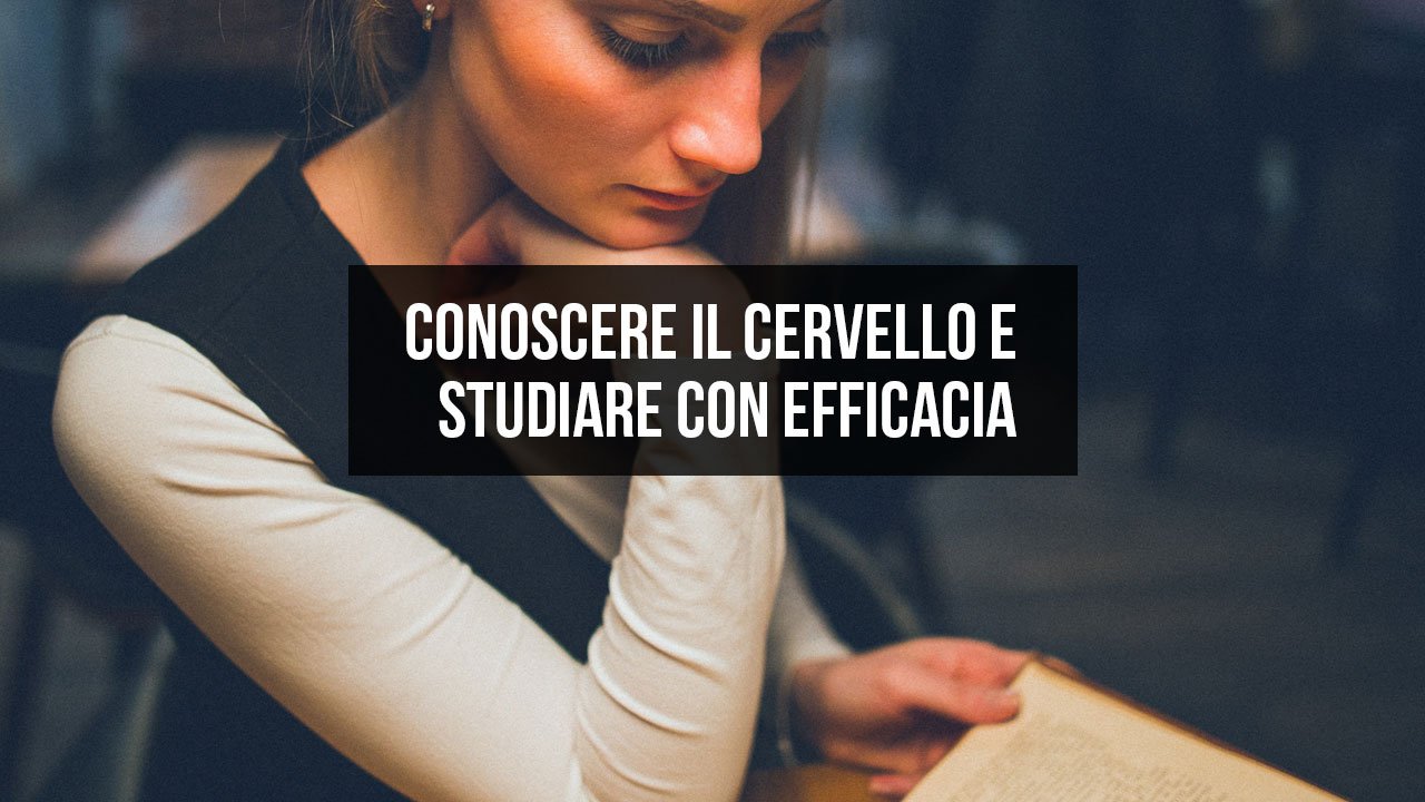 Studiare efficacemente diploma laurea