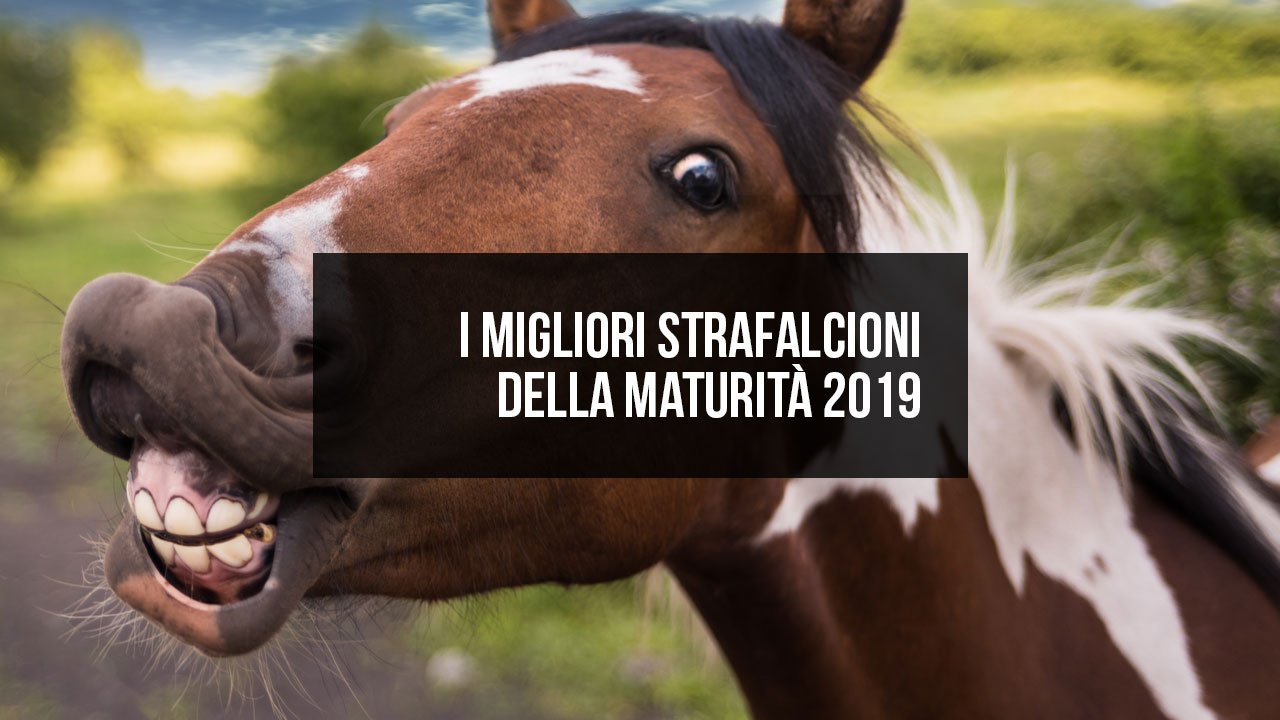 Strafalcioni maturità 2019